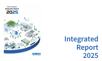 Integrated Report 2025