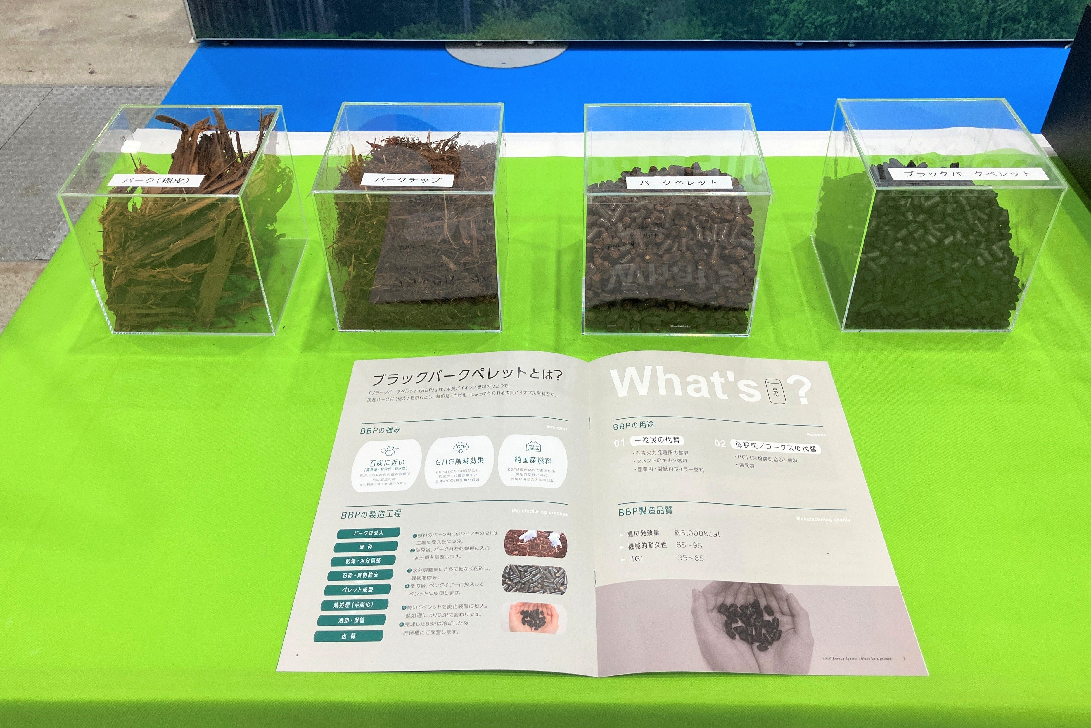 International Biomass Exhibition