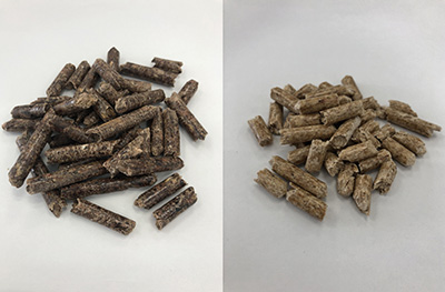Biomass Fuel（PKS and wood pellets）