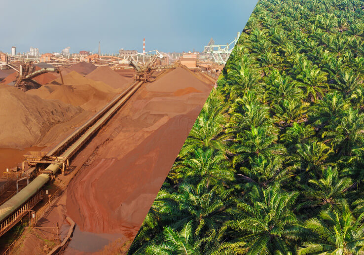 Ferrous Raw Materials