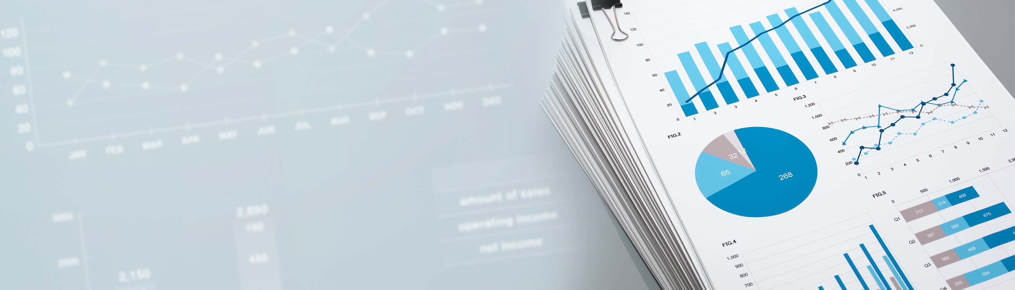 Financial Information