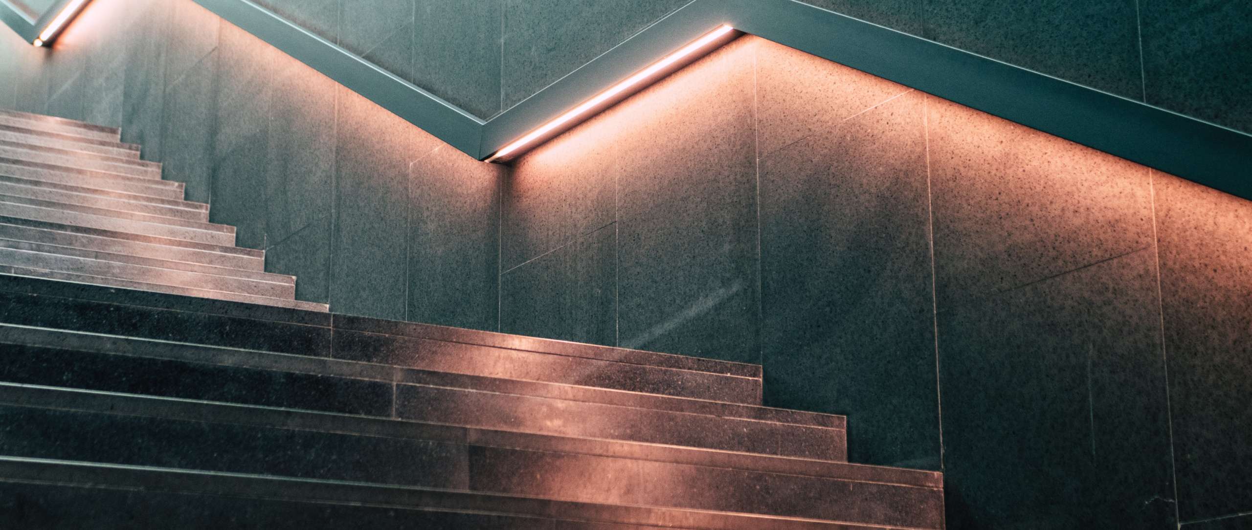 人材教育とキャリアパス